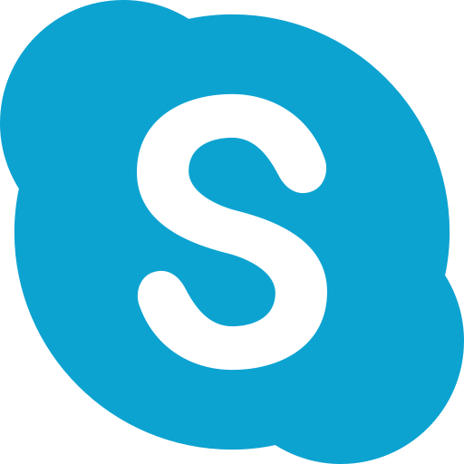 Skype Logo Icon