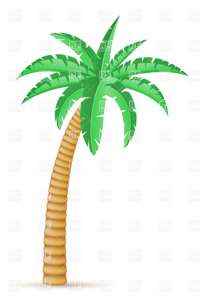 13 Sand Palm Tree Vector Graphic Images