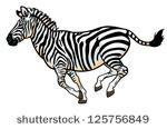 Zebra Head Side View Zebra Head Side View