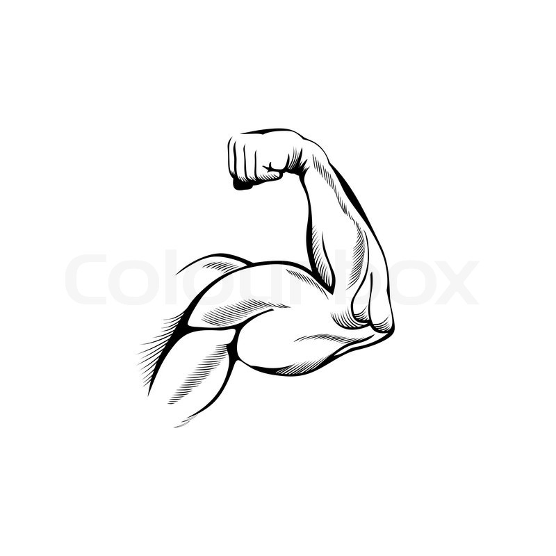 Arm Muscle Cartoon Drawings