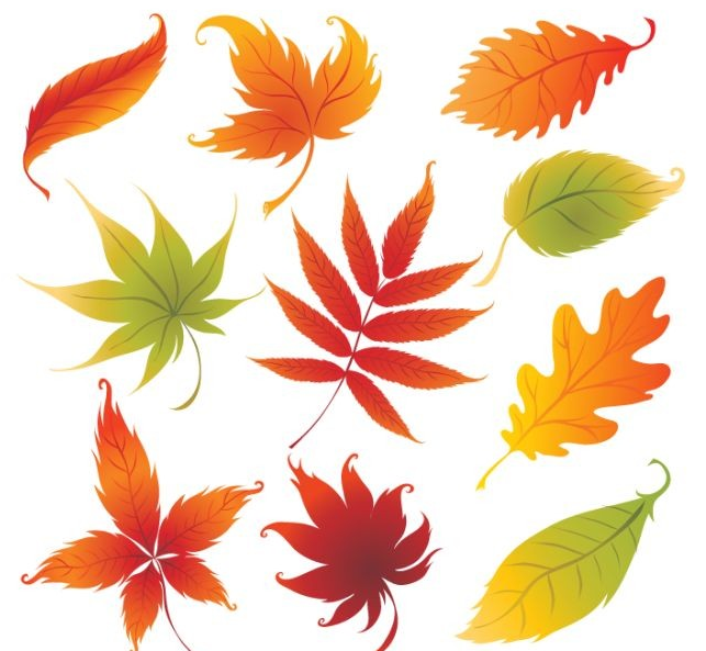 Autumn Leaves Graphics Free