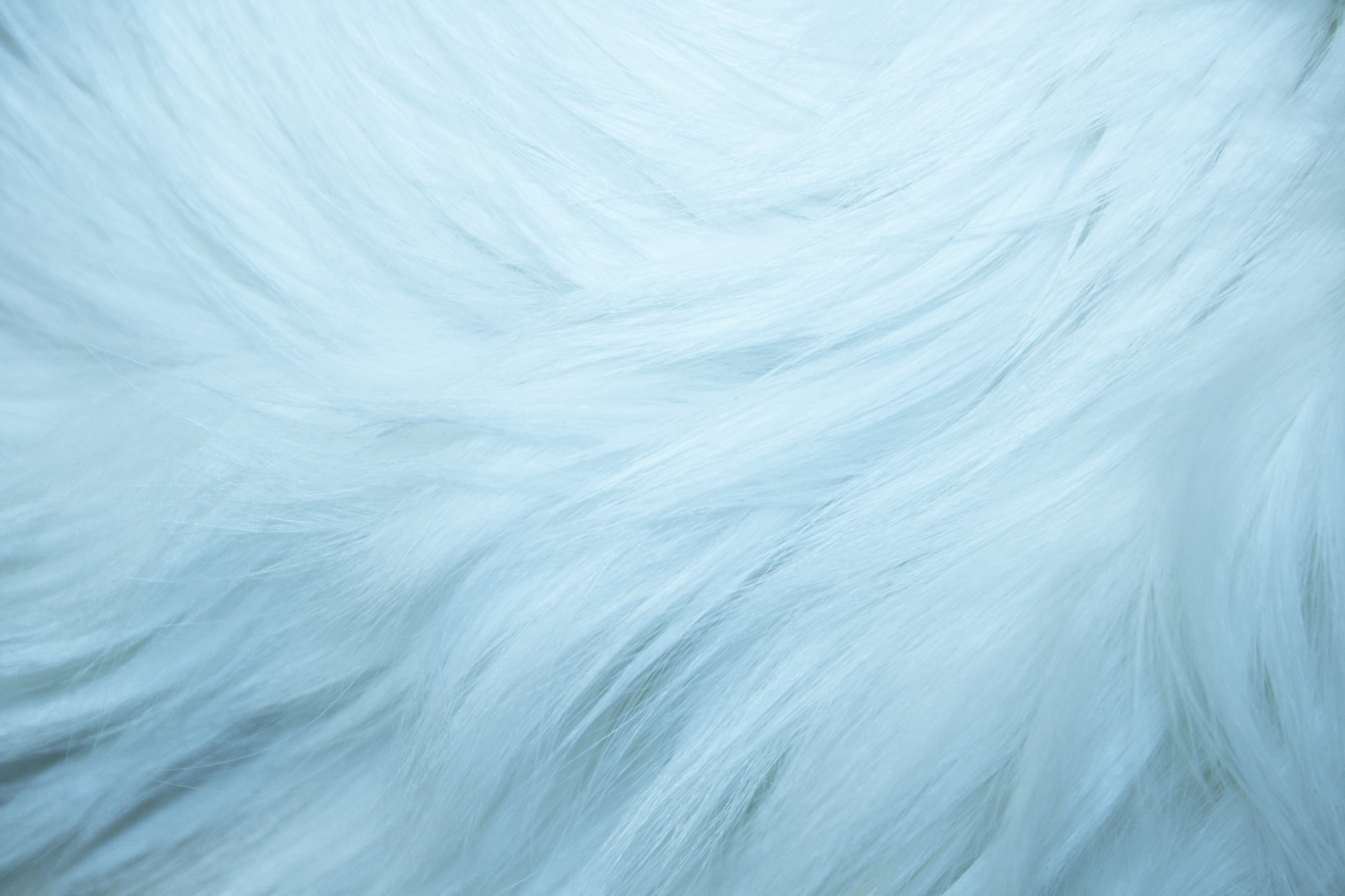 Baby Blue Fur Texture