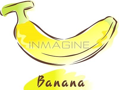 Banana Plant Clip Art