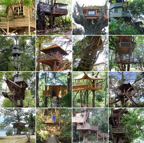 Building Tree Houses Designs