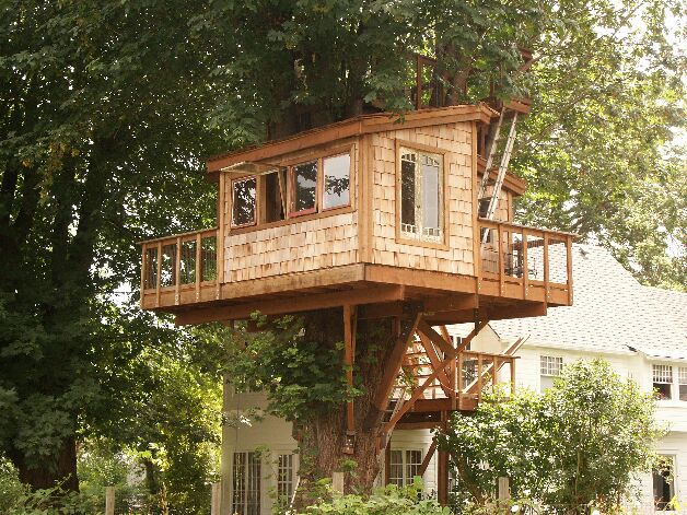 Building Tree Houses Designs