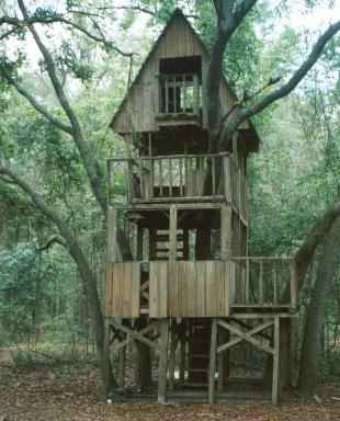 Building Tree Houses Designs