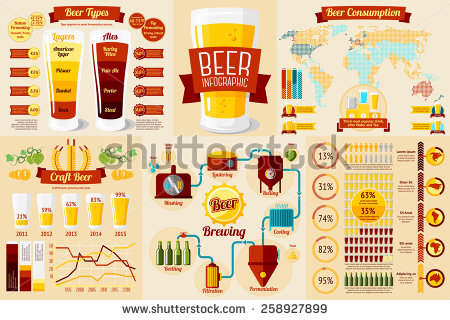 Craft Beer Types Infographics