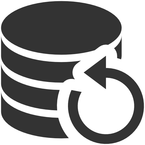 Database Backup Icon