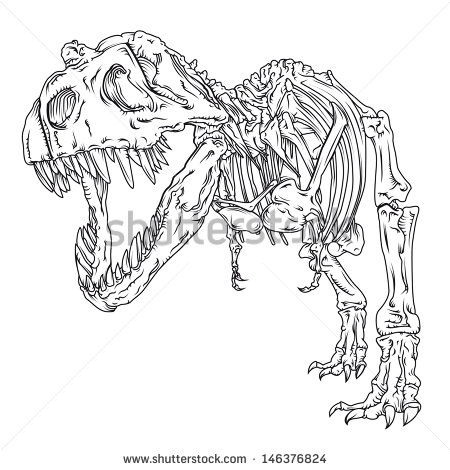Detailed T-Rex Drawings