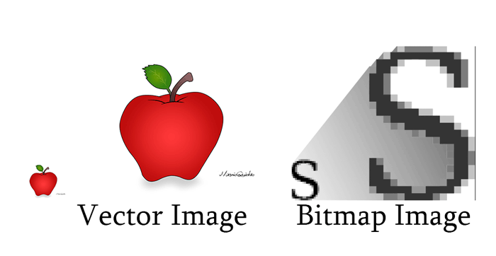 Difference Between Bitmap and Vector Graphics