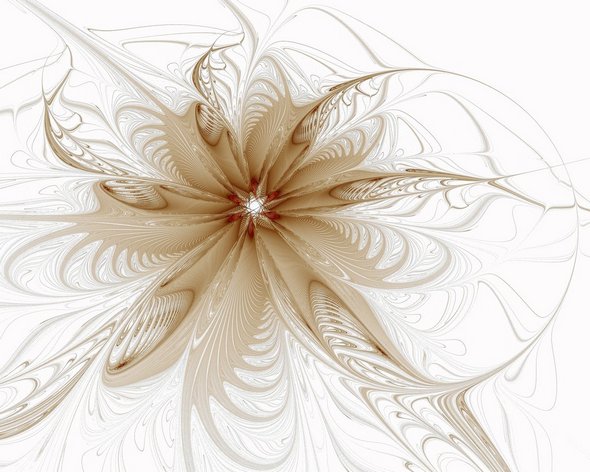 Elegant Fractal Designs