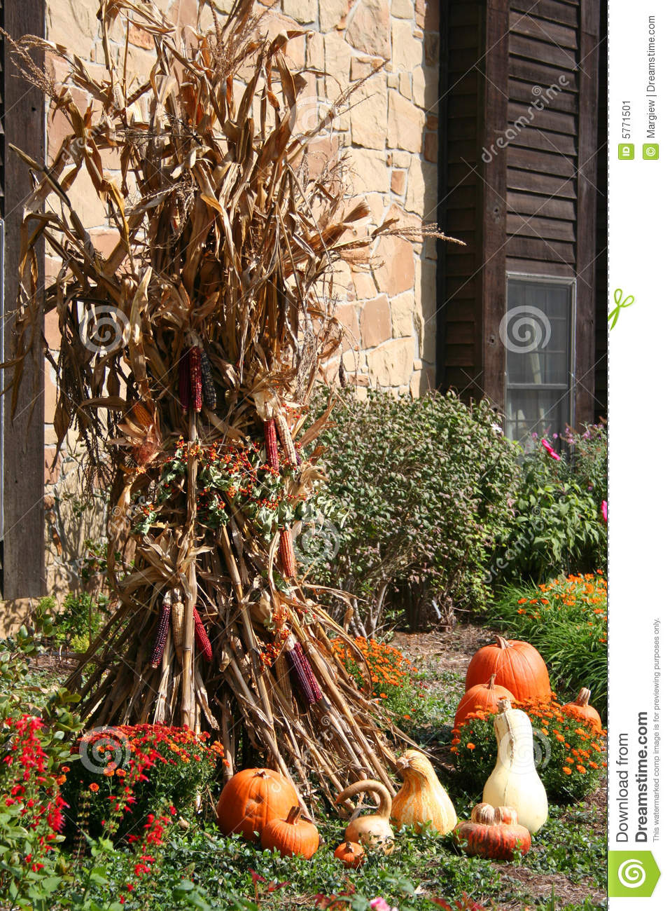 Fall Corn Stalk Yard Decoration