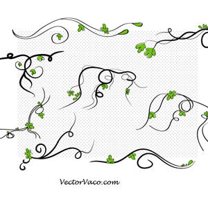 Floral Swirl Vector