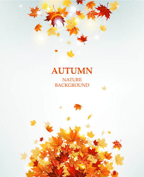 Free Vector Autumn Leaf