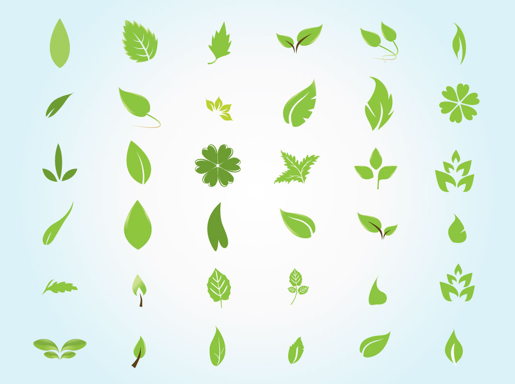 Free Vector Leaves Free Vector Leaves