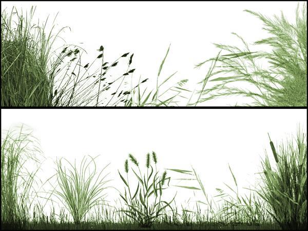 Grass Brush Photoshop