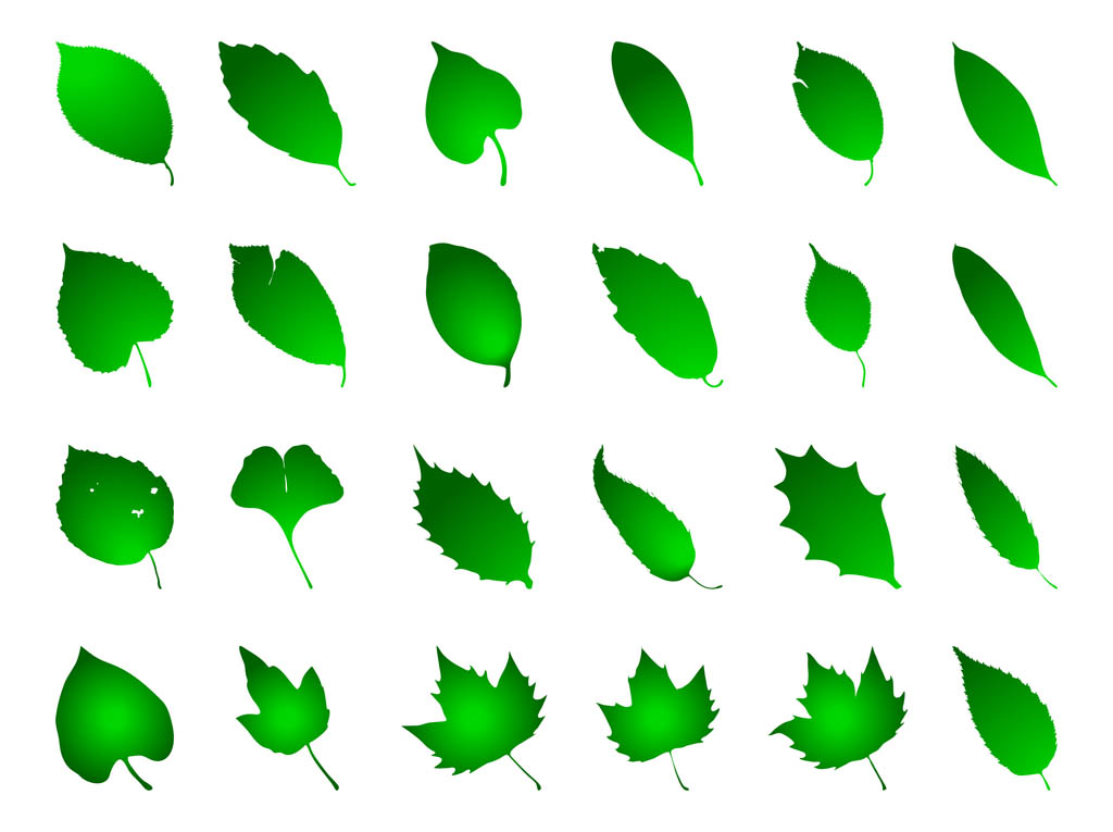 Green Leaf Vector Clip Art
