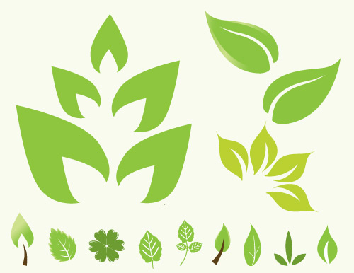 Green Leaf Vector