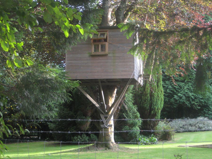 How to Build a Tree House Plans