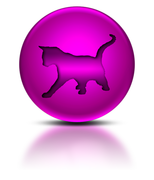 Kitty Cat Social Media Icon