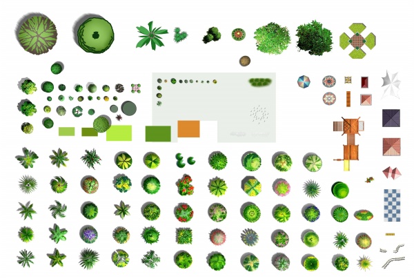 Landscape Plan Trees Photoshop PSD File Landscape Plan Trees Photoshop PSD File