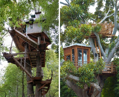 Modern Tree House Building