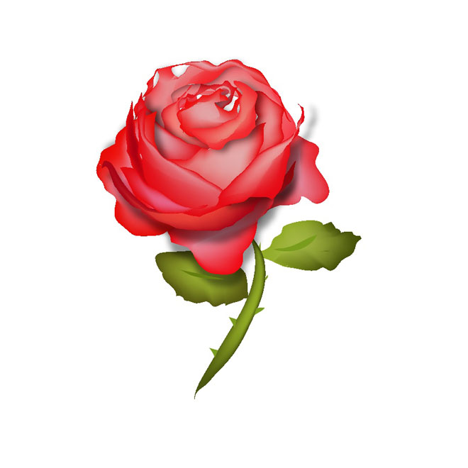 Red Rose Vector