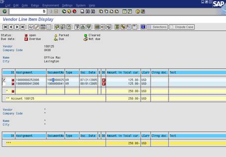 SAP Display Vendor Line Item