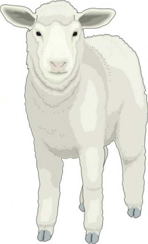 Sheep Animal Clip Art Free Downloads