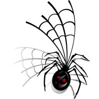 Spider Web Vector Art Spider Web Vector Art