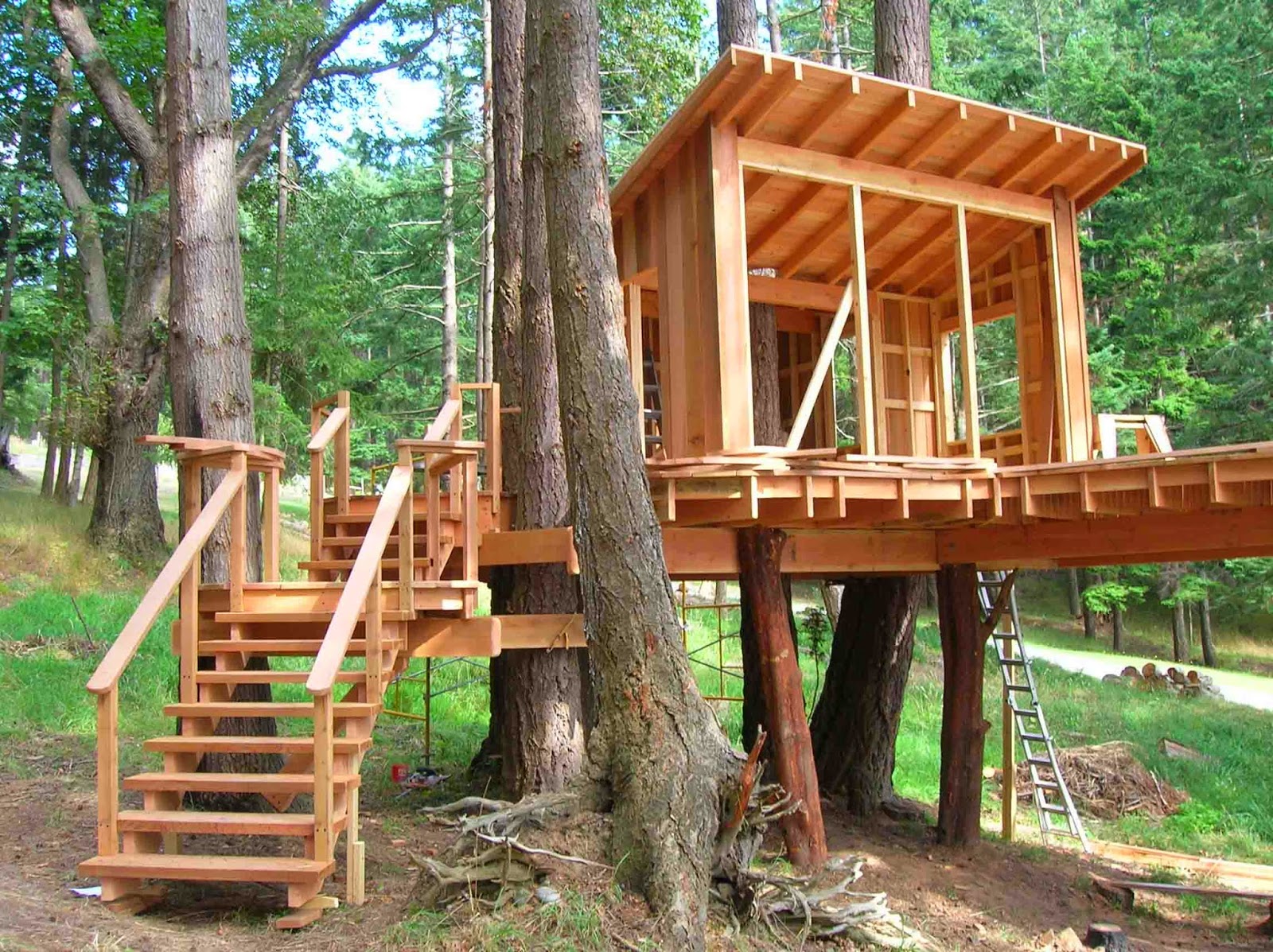 Tree House Made with Pallets