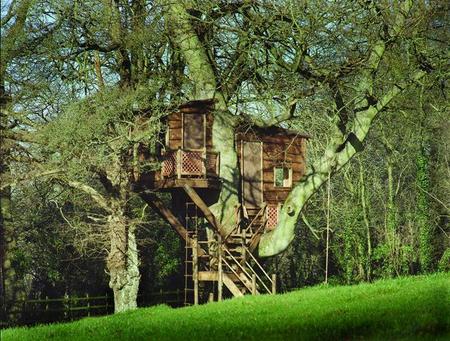Tree House Plans Free