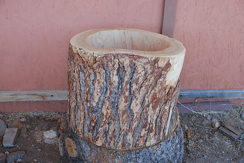 Tree Stump Photography Prop