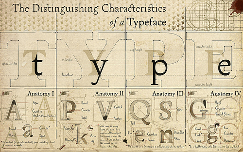 Type Anatomy Typography