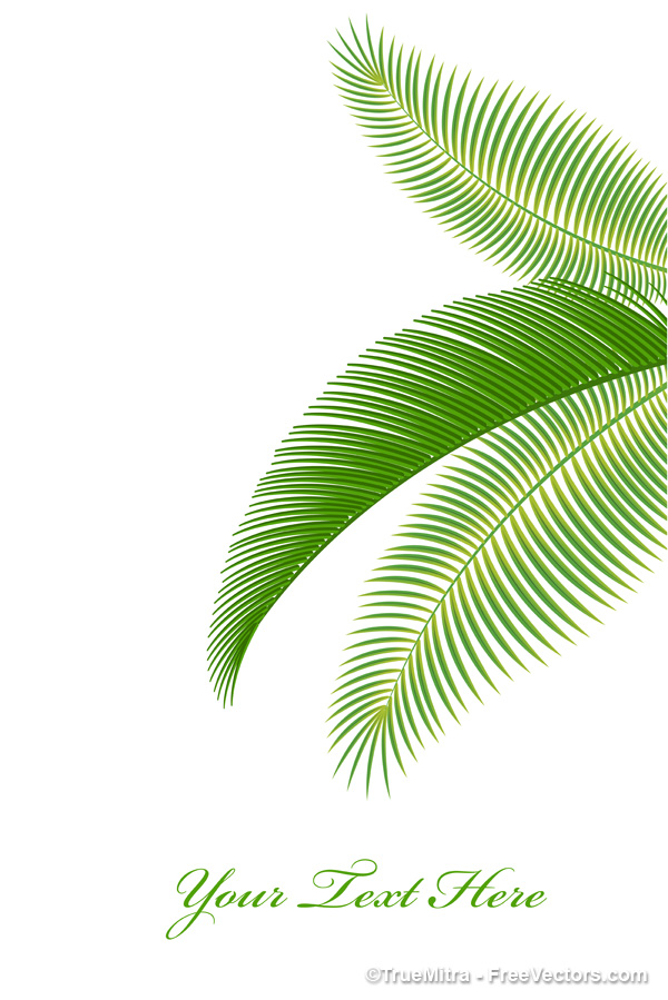 16 Photos of Palm Leaf Vector Free