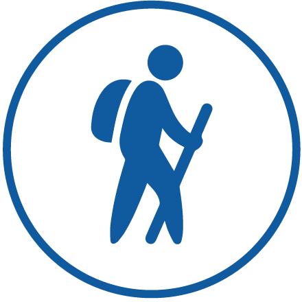 Activity Program Icon