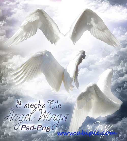 Angel Wings PSD Template