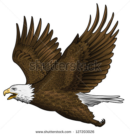 Bald Eagle Vector