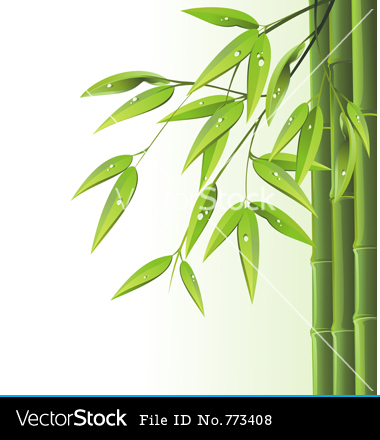 Bamboo Vector Art