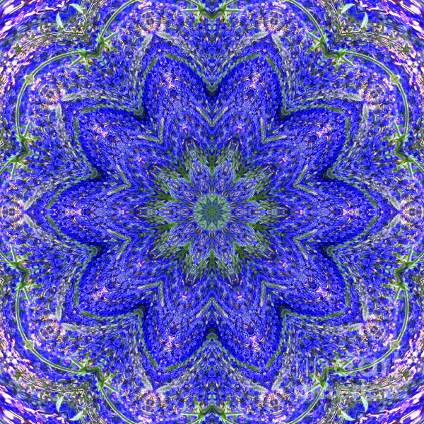 Blue and Purple Floral Design