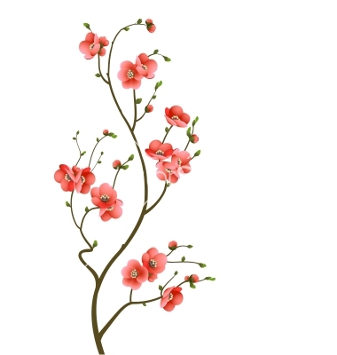 Cherry Blossom Branch Vector