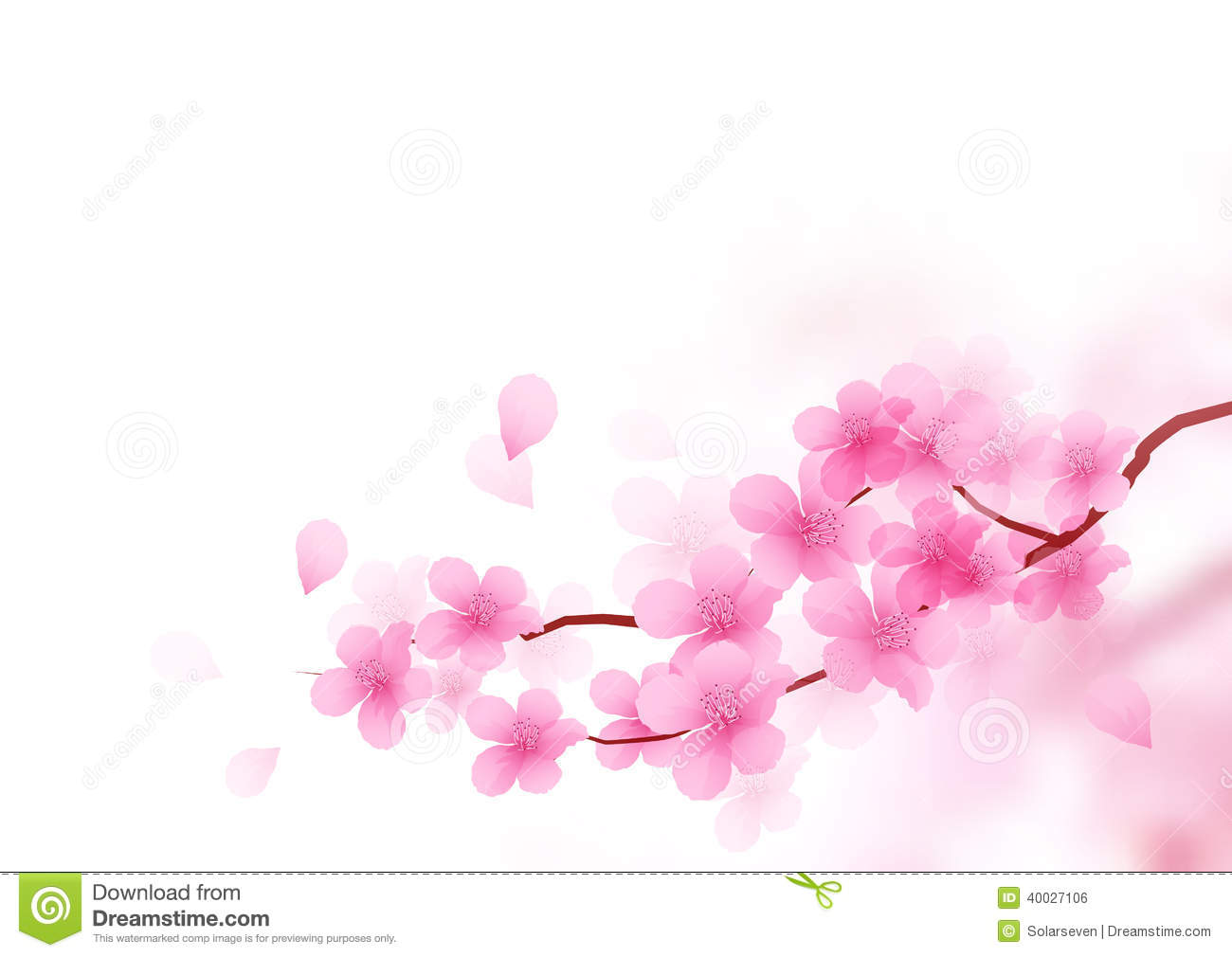 Cherry Blossom Branch Vector