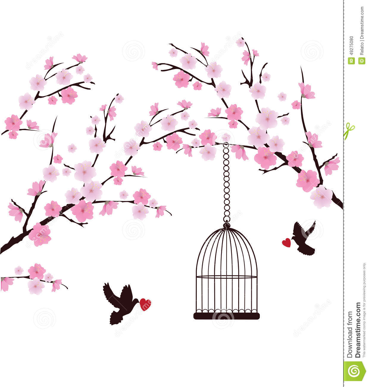 Cherry Blossom Branch Vector