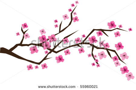 Cherry Blossom Branch Vector