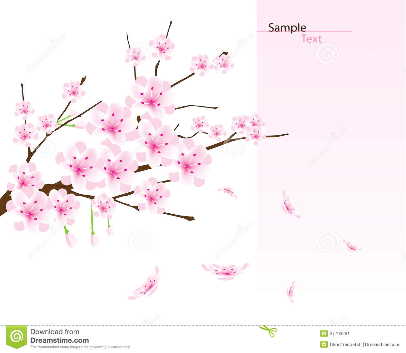 Cherry Blossom Branch Vector