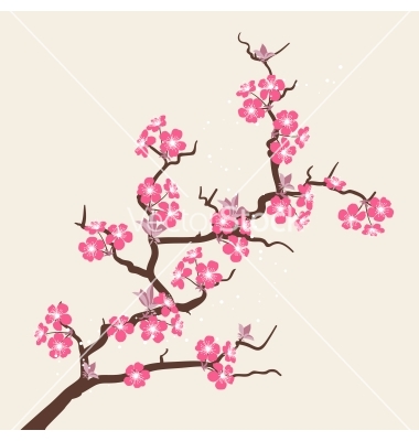 Cherry Blossom Flower Vector