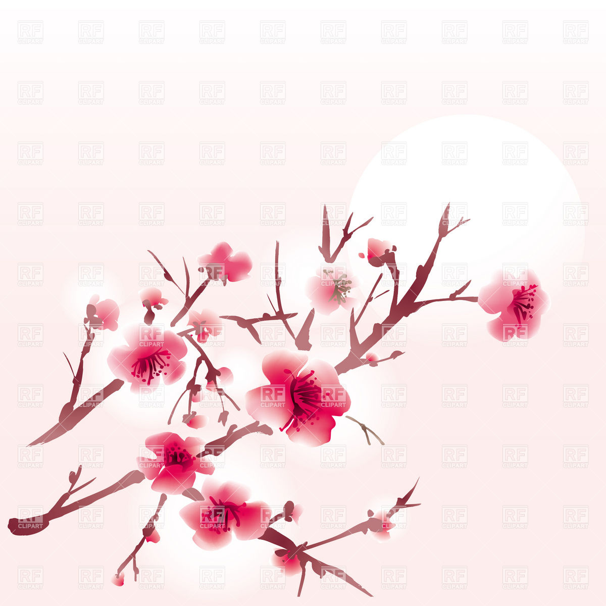 Cherry Blossom Tree Branch Drawing