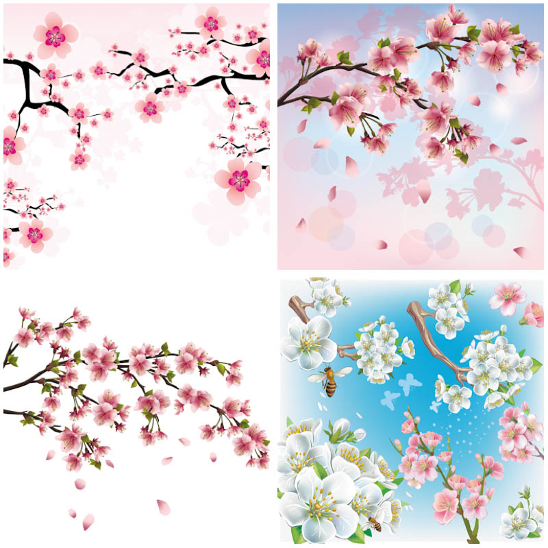 18 Cherry Blossoms Branch Vector Graphics Images