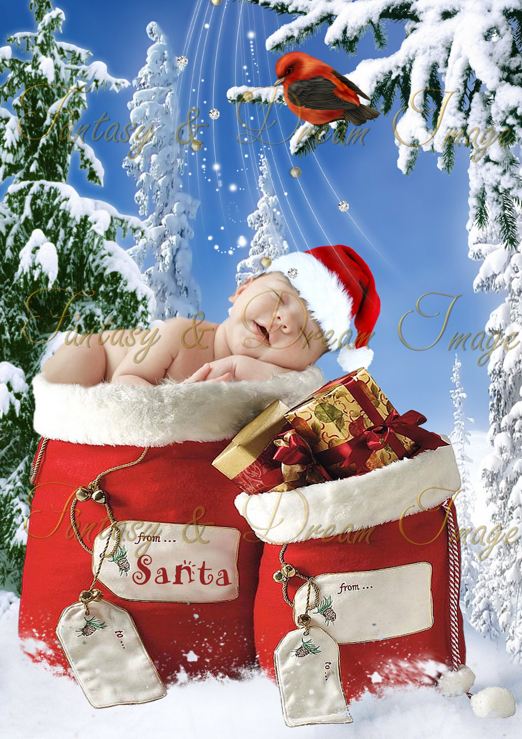 Christmas Photoshop Digital Backgrounds