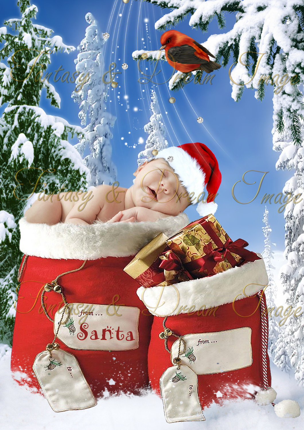 Christmas Photoshop Digital Backgrounds Christmas Photoshop Digital Backgrounds